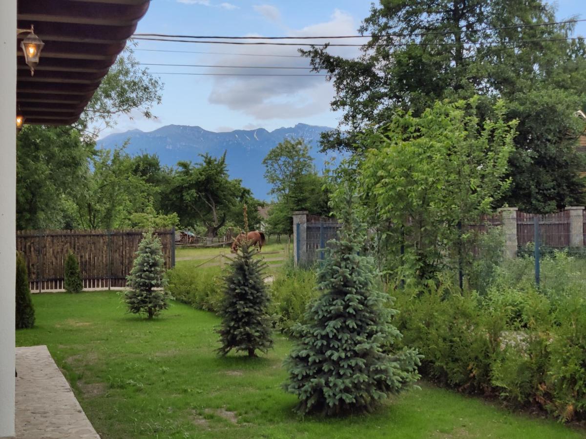Ara Chalet 布朗 外观 照片